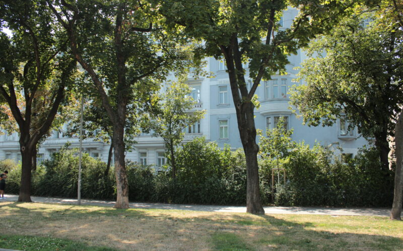 Eine Reihe ausgewachsener Bäume säumt einen Gehweg vor einem hellblauen Wohngebäude mit mehreren Fenstern und Hecken.