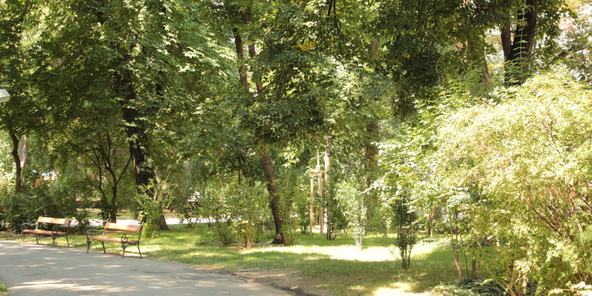 Eine sonnenbeschienene Parkszene mit grünen Bäumen, Büschen, Grasflächen, leeren Bänken und einem gepflasterten Gehweg, der sich durch die Landschaft schlängelt.