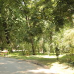 Eine sonnenbeschienene Parkszene mit grünen Bäumen, Büschen, Grasflächen, leeren Bänken und einem gepflasterten Gehweg, der sich durch die Landschaft schlängelt.