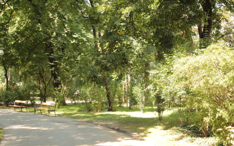 Eine sonnenbeschienene Parkszene mit grünen Bäumen, Büschen, Grasflächen, leeren Bänken und einem gepflasterten Gehweg, der sich durch die Landschaft schlängelt.