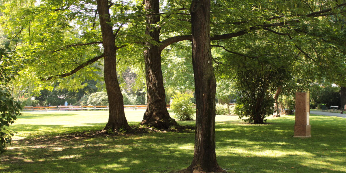 Eine grasbewachsene Parkfläche mit hohen Bäumen, die Schatten spenden, Sonnenlicht, das durch die Blätter fällt, und einem Steindenkmal auf der rechten Seite.