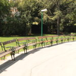 Eine geschwungene Reihe leerer Holzbänke säumt einen gepflasterten Weg in einem sonnendurchfluteten Park, umgeben von grünen Bäumen und Büschen.