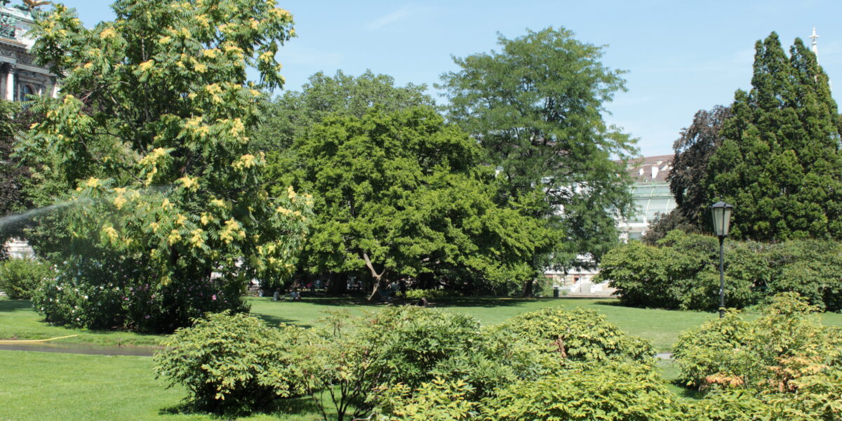Ein Park mit üppigem grünem Gras, verschiedenen Bäumen, Sträuchern und einem Laternenpfahl unter einem klaren blauen Himmel.