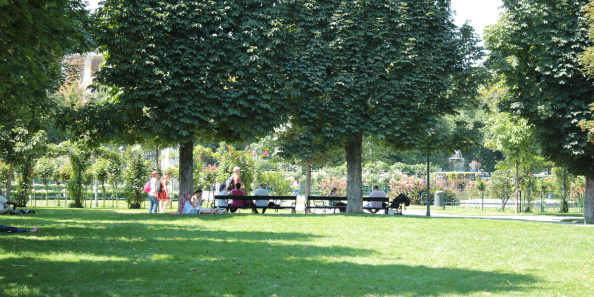 Mehrere Personen sitzen auf Bänken unter hohen Bäumen in einem sonnenbeschienenen Park, in dem grünes Gras und belaubte Bäume Schatten auf den Boden werfen.