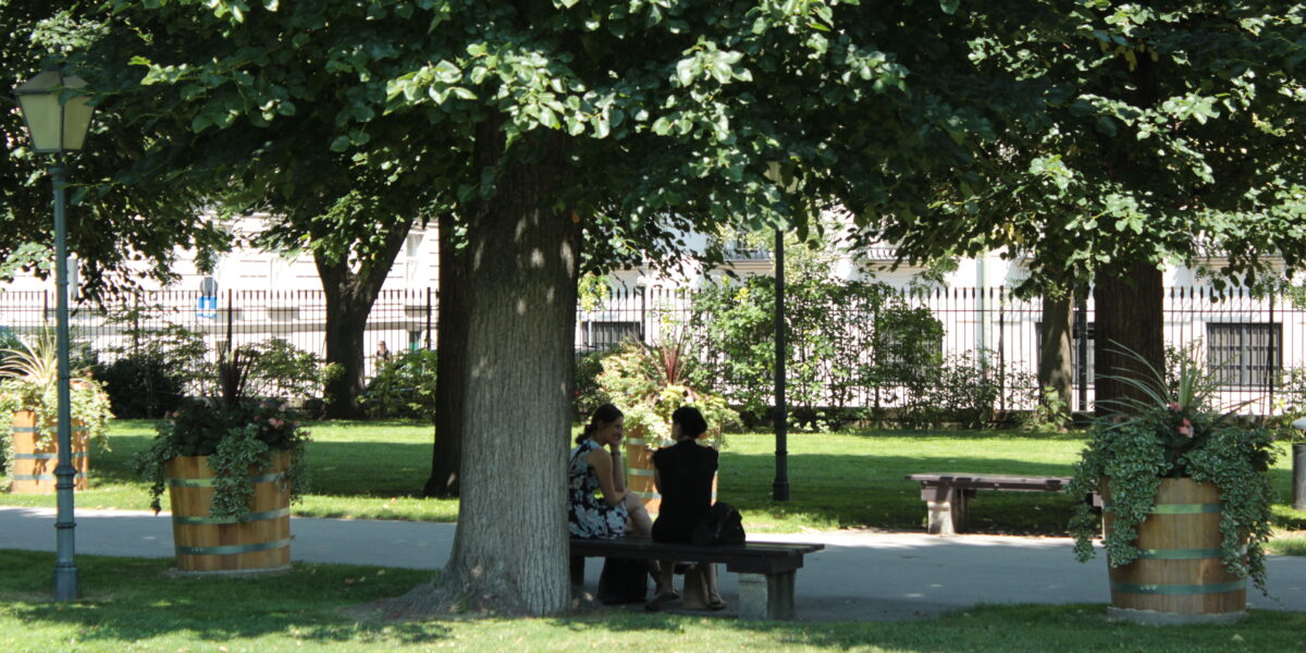 Zwei Personen sitzen auf einer Bank im Schatten eines großen Baumes in einem Park, umgeben von Gras, Pflanzkübeln und einem Weg mit Bänken und Straßenlampen.