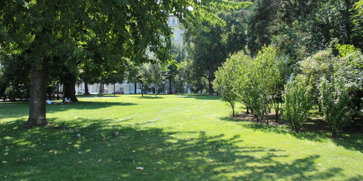 Ein sonnenbeschienener Park mit grünem Gras, verstreuten Bäumen und Büschen, die Schatten auf den Boden werfen; im Hintergrund sind Gebäude zu sehen.