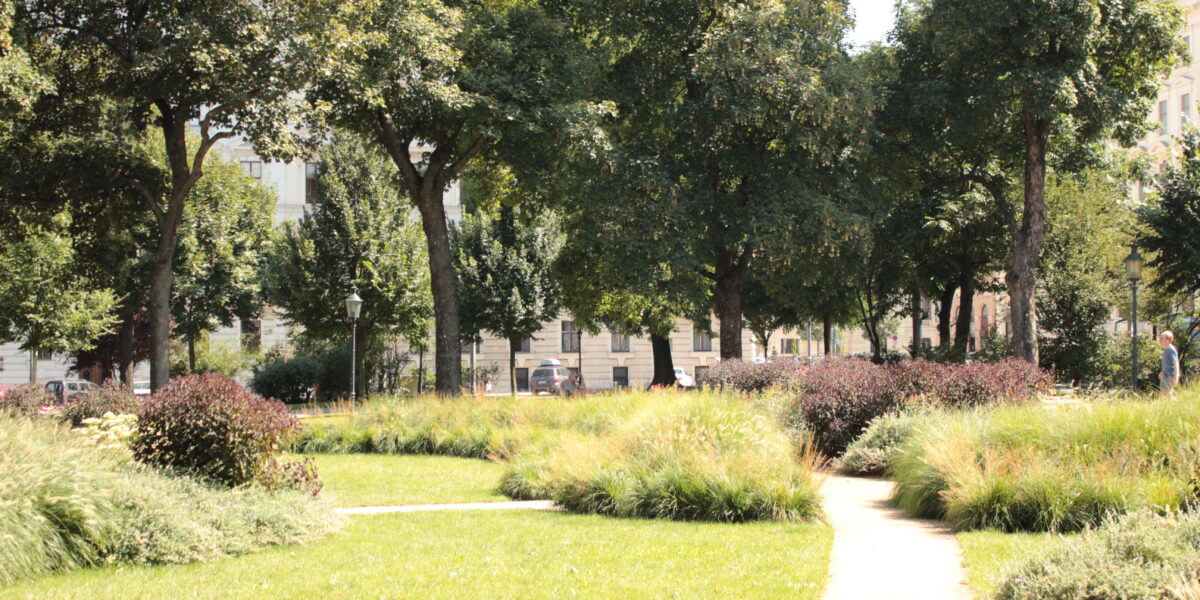 Ein Park mit grünem Gras, Büschen, hohen Bäumen und gewundenen Wegen an einem sonnigen Tag; im Hintergrund sind Gebäude zu sehen.