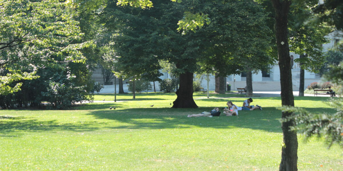 Mehrere Menschen liegen im Gras unter einem großen Baum in einem sonnigen Park, im Hintergrund sind Bänke, Vögel und andere Bäume zu sehen.