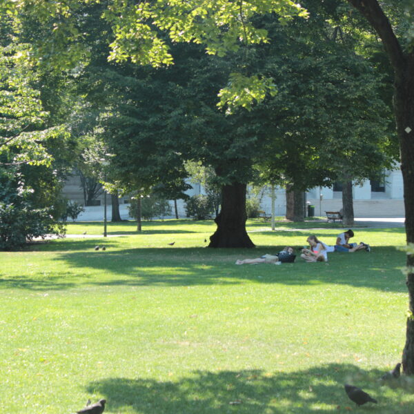 Mehrere Menschen liegen im Gras unter einem großen Baum in einem sonnigen Park, im Hintergrund sind Bänke, Vögel und andere Bäume zu sehen.