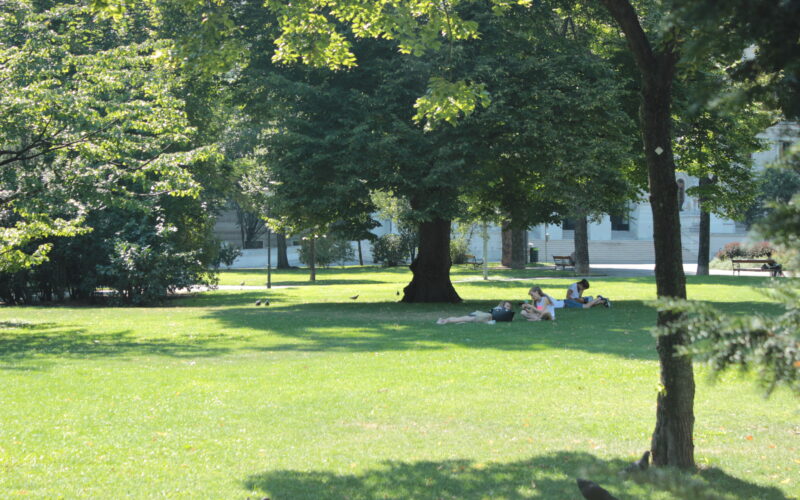 Mehrere Menschen liegen im Gras unter einem großen Baum in einem sonnigen Park, im Hintergrund sind Bänke, Vögel und andere Bäume zu sehen.