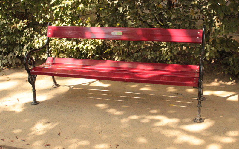 Eine rote Holzbank mit schwarzen Metallarmlehnen steht auf einem unbefestigten Weg, umgeben von grünen Sträuchern im Sonnenlicht.