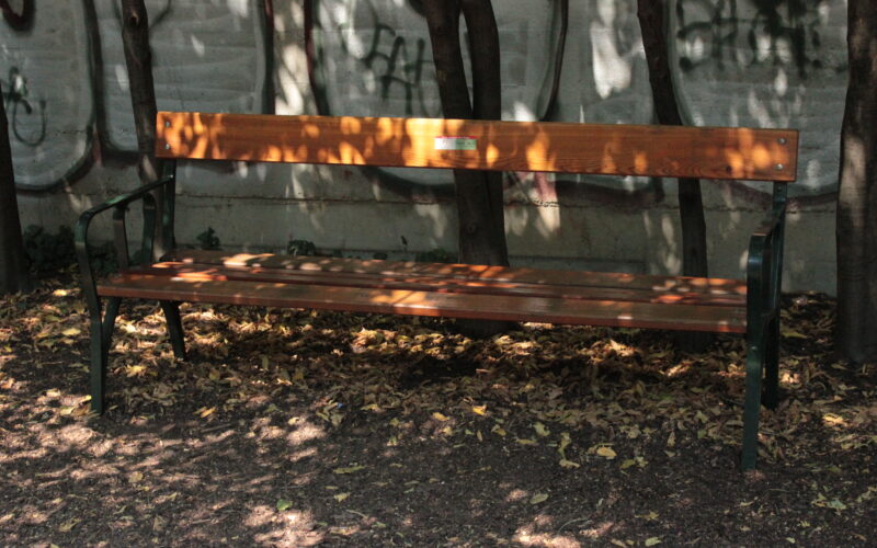 Eine hölzerne Parkbank steht im Schatten, umgeben von herabgefallenen Blättern, mit Bäumen und einer mit Graffiti bedeckten Mauer im Hintergrund.