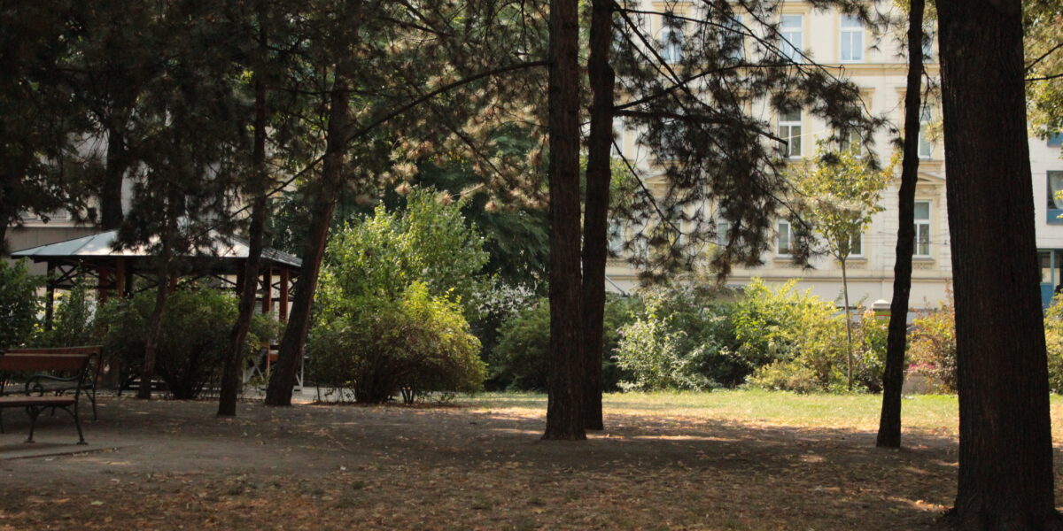 Ein Stadtpark mit hohen Bäumen, trockenem Gras, Bänken und einem Pavillon, im Hintergrund ist ein mehrstöckiges Gebäude zu sehen.