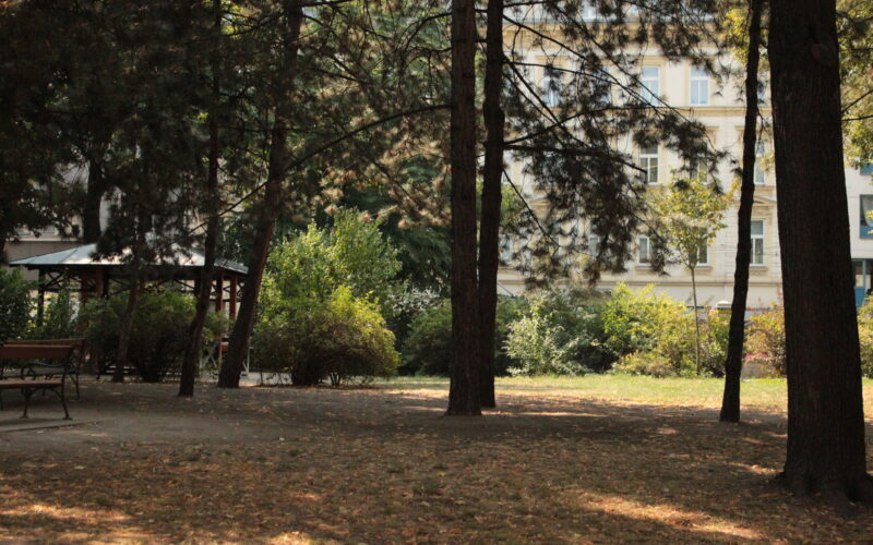 Ein Stadtpark mit hohen Bäumen, trockenem Gras, Bänken und einem Pavillon, im Hintergrund ist ein mehrstöckiges Gebäude zu sehen.