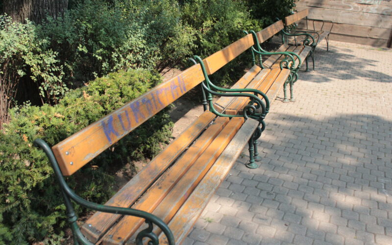 Eine Reihe von leeren Holzbänken mit grünen Metallarmlehnen entlang eines gepflasterten Weges, umgeben von Büschen und Bäumen in einem Park.