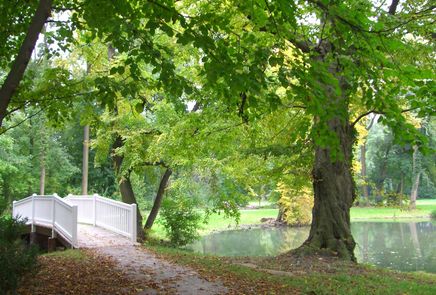 Ein weißer Steg führt über einen kleinen Bach in einem Park, der von großen grünen Bäumen und einer Grasfläche mit verstreutem Laub umgeben ist.
