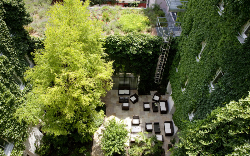 Luftaufnahme eines Innenhofs mit Terrassenbestuhlung, umgeben von grünen, mit Efeu bewachsenen Mauern und Bäumen.