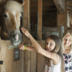 Zwei junge Mädchen stehen in einem Stall, die eine streichelt die Nase eines Pferdes, während die andere neben ihr lächelt.