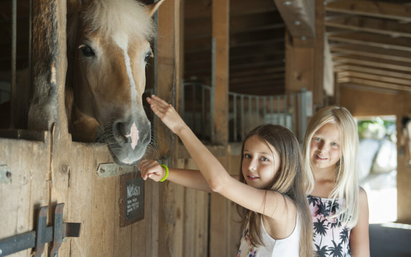 Zwei junge Mädchen stehen in einem Stall, die eine streichelt die Nase eines Pferdes, während die andere neben ihr lächelt.