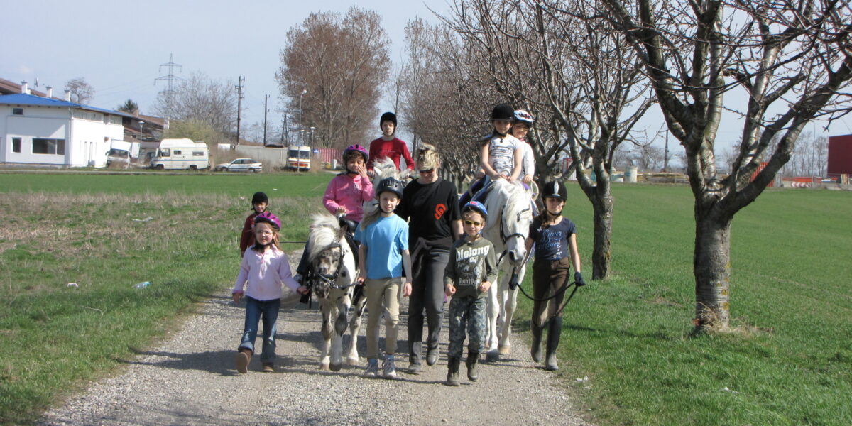 Eine Gruppe von Kindern, einige auf Ponys, andere zu Fuß, bewegt sich an einem sonnigen Tag über einen von Gras und blattlosen Bäumen gesäumten Kiesweg.