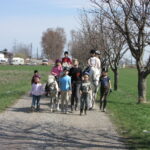 Eine Gruppe von Kindern, einige auf Ponys, andere zu Fuß, bewegt sich an einem sonnigen Tag über einen von Gras und blattlosen Bäumen gesäumten Kiesweg.