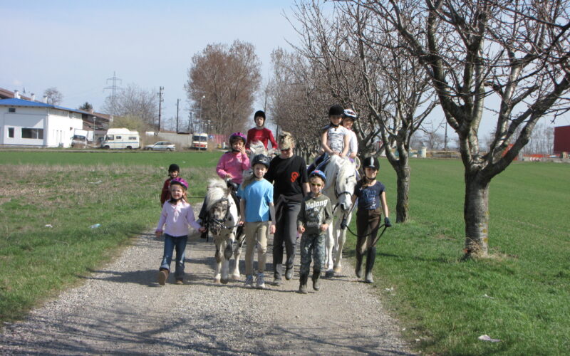 Eine Gruppe von Kindern, einige auf Ponys, andere zu Fuß, bewegt sich an einem sonnigen Tag über einen von Gras und blattlosen Bäumen gesäumten Kiesweg.