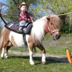 Ein kleines Kind mit Hut und kariertem Hemd reitet im Freien auf einem Pony; eine Karotte hängt an einem Stock vor dem Pony, das auf einem grasbewachsenen Weg läuft.