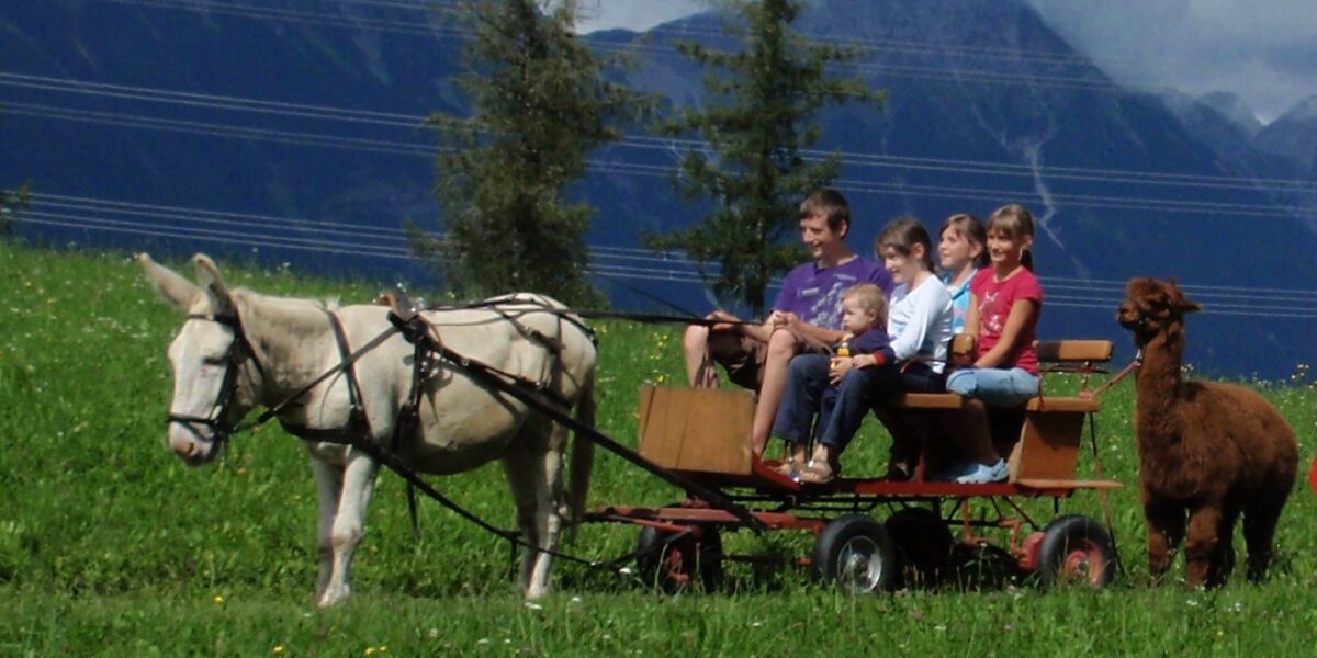 Ein Esel zieht einen Karren, auf dem sechs Kinder sitzen; ein Alpaka steht neben dem Karren auf einer grasbewachsenen Wiese mit Bergen im Hintergrund.