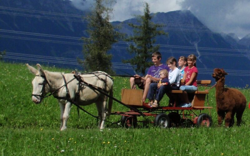 Ein Esel zieht einen Karren, auf dem sechs Kinder sitzen; ein Alpaka steht neben dem Karren auf einer grasbewachsenen Wiese mit Bergen im Hintergrund.