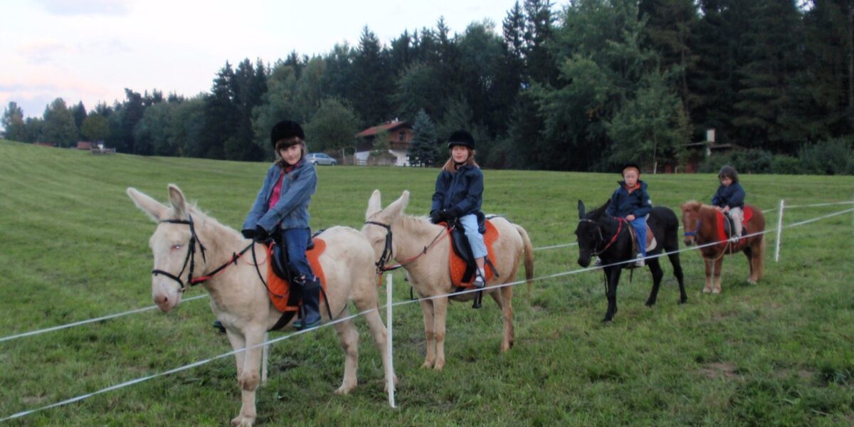 Vier Kinder reiten im Gänsemarsch auf einem Esel über eine Wiese, mit Bäumen und einem Haus im Hintergrund. Sie tragen Jacken und Hüte.