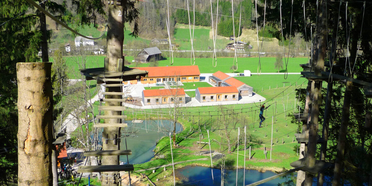 Ein Hochseilgarten in den Baumkronen mit Holzplattformen und Seilen bietet Aussicht auf eine ländliche Landschaft mit Gebäuden, Feldern und einem kleinen Teich darunter.