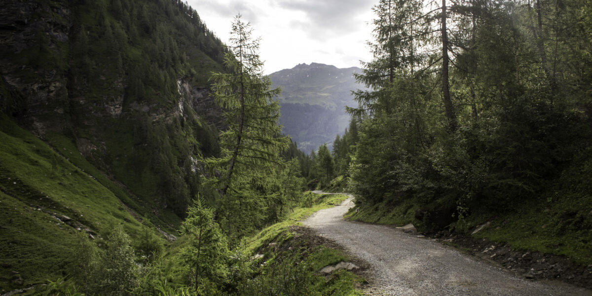 Ein Schotterweg schlängelt sich durch eine grüne, bewaldete Berglandschaft unter einem bewölkten Himmel.