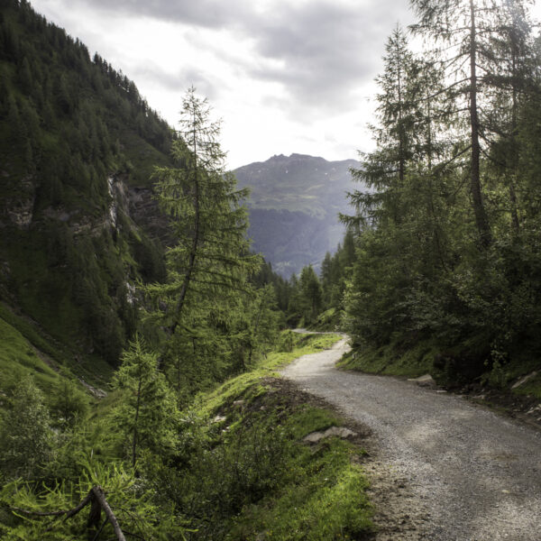 Ein Schotterweg schlängelt sich durch eine grüne, bewaldete Berglandschaft unter einem bewölkten Himmel.