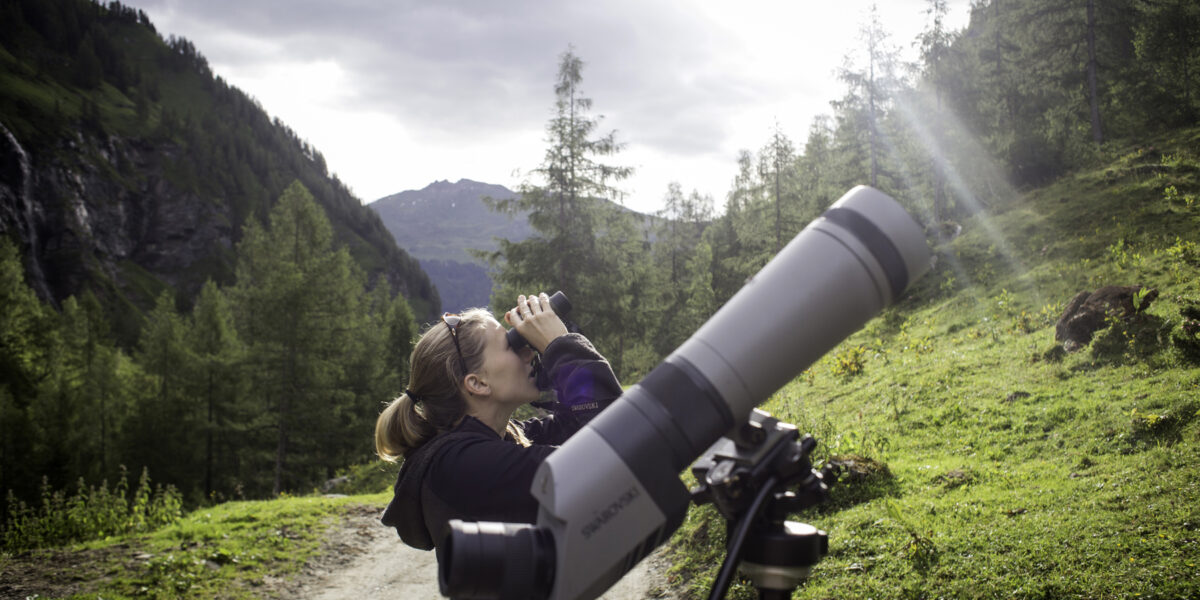Eine Person steht auf einem unbefestigten Weg in einer bergigen, bewaldeten Gegend und blickt durch ein Fernglas mit einem Spektiv auf einem Stativ in der Nähe.