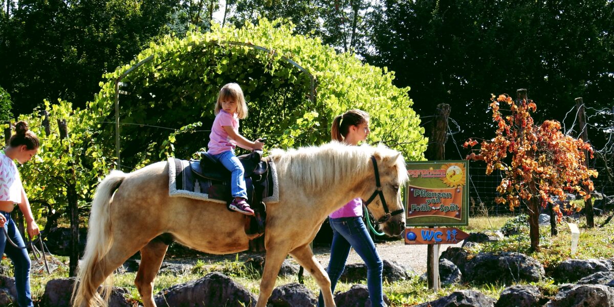 Ein kleines Kind reitet auf einem kleinen Pferd, das von zwei Erwachsenen in einem parkähnlichen Gebiet mit Grünflächen und einem Schild im Hintergrund geführt wird.