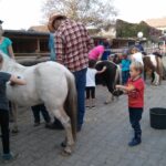 Kinder und Erwachsene striegeln Ponys in einem Außenbereich mit Ställen und Gebäuden im Hintergrund.