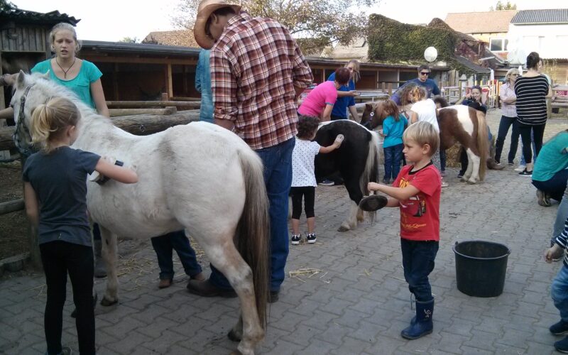 Kinder und Erwachsene striegeln Ponys in einem Außenbereich mit Ställen und Gebäuden im Hintergrund.