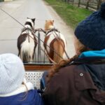 Zwei Personen fahren in einer Pferdekutsche, die von zwei kleinen Ponys geführt wird, an einem bewölkten Tag über eine gepflasterte Straße.