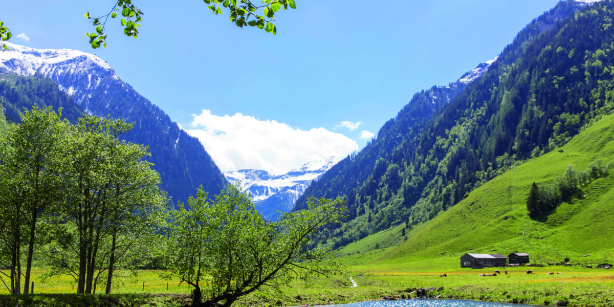 Ein klarer Fluss fließt durch ein grünes Tal mit Bäumen, grasbewachsenen Hängen, ein paar Gebäuden und schneebedeckten Bergen unter einem blauen Himmel.