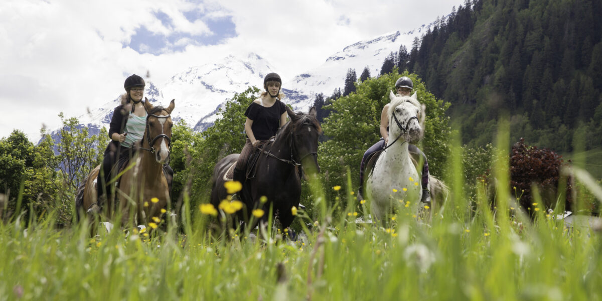 Drei Menschen reiten auf Pferden durch ein grasbewachsenes Feld mit gelben Blumen, Bergen, Bäumen und einem teilweise bewölkten Himmel im Hintergrund.
