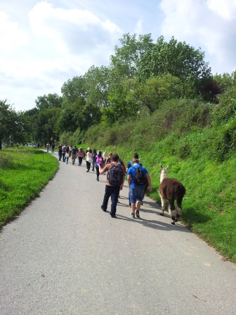 Eine Gruppe von Menschen, darunter Kinder und Erwachsene, geht einen gepflasterten Weg entlang, der auf beiden Seiten begrünt ist; eine Person geht neben einem Lama.