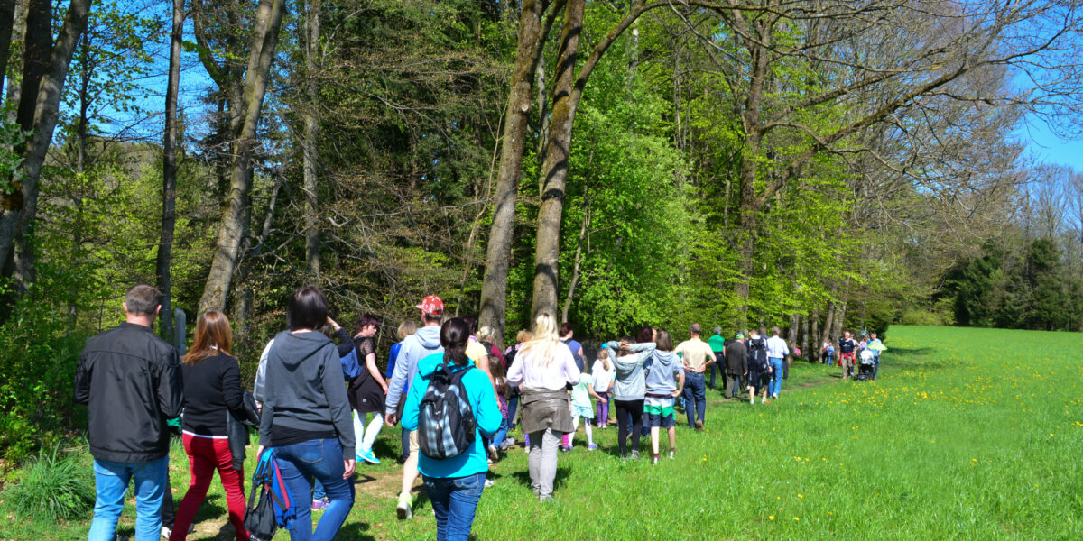Eine Gruppe von Menschen geht an einem sonnigen Tag am Rande eines Waldes entlang und folgt einem Weg neben einer Wiese.