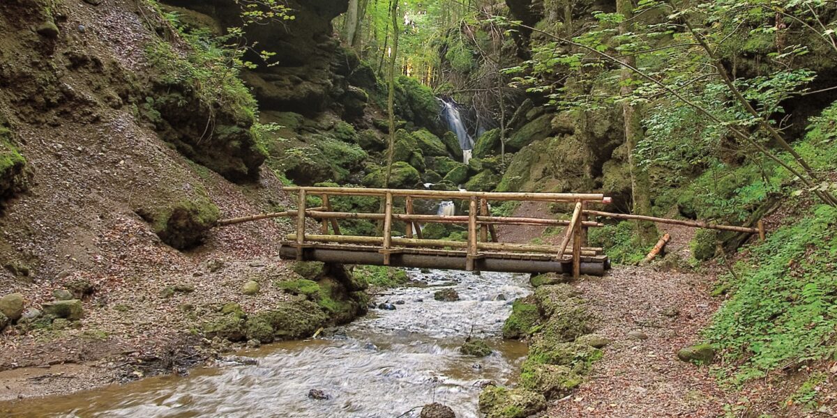 Ein hölzerner Steg führt über einen felsigen Bach in einer bewaldeten Schlucht mit moosbewachsenen Felsen und einem kleinen Wasserfall im Hintergrund.