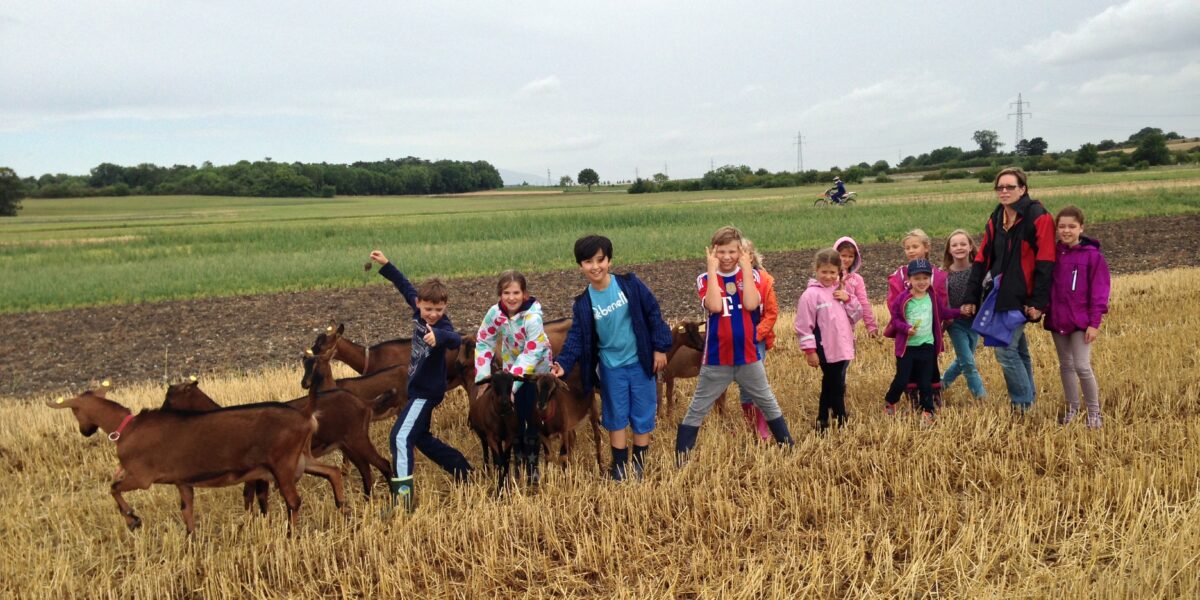 Eine Gruppe von Kindern und ein Erwachsener stehen an einem bewölkten Tag mit mehreren Ziegen auf einem Feld. Im Hintergrund sind Felder und Bäume zu sehen.