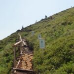 Schotterweg mit Holzstufen und Handlauf, der einen grasbewachsenen Hügel hinaufführt, mit Hinweisschildern entlang des Weges. Weiter oben auf dem Hügel ist eine Person zu sehen.