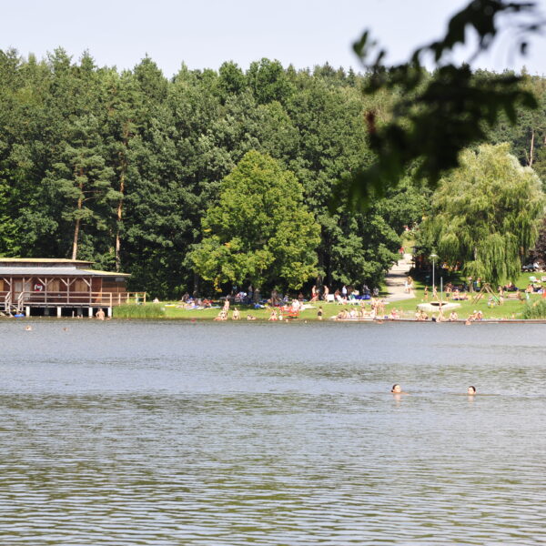 Menschen entspannen sich an einem grasbewachsenen Ufer und schwimmen in einem See mit einem Holzpavillon und dichten Bäumen im Hintergrund.