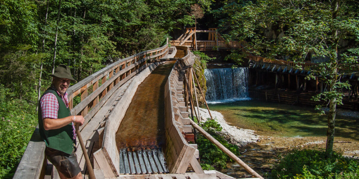 Ein Mann steht auf einem Holzsteg neben einem Bach mit einem kleinen Wasserfall, umgeben von dichtem grünen Wald.