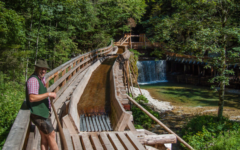 Ein Mann steht auf einem Holzsteg neben einem Bach mit einem kleinen Wasserfall, umgeben von dichtem grünen Wald.