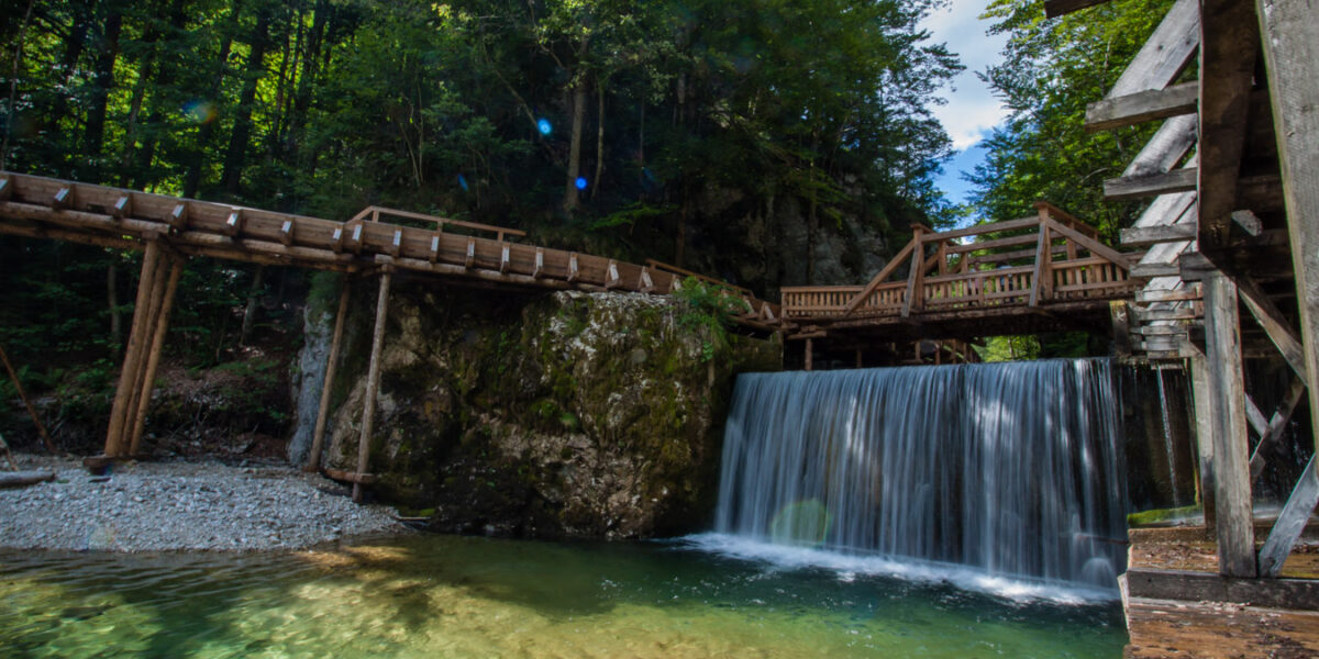 Unter einem hölzernen Steg, der von Wald umgeben ist, fließt ein kleiner Wasserfall, in dem sich klares Wasser sammelt und das Sonnenlicht durch die Bäume fällt.