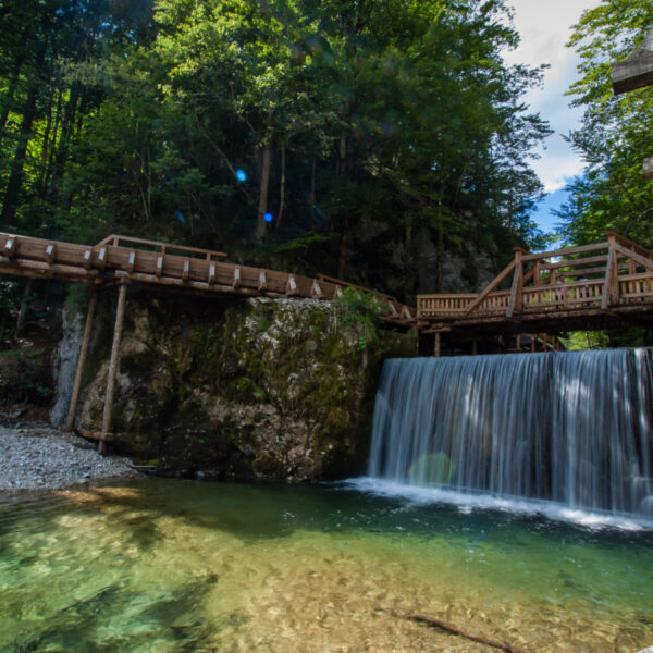 Unter einem hölzernen Steg, der von Wald umgeben ist, fließt ein kleiner Wasserfall, in dem sich klares Wasser sammelt und das Sonnenlicht durch die Bäume fällt.